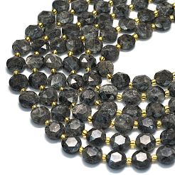 Natural Larvikite Beads Strands&nbsp;G-C116-A155-01