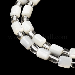 Natural Trochid Shell/Trochus Shell Beads Strands&nbsp;BSHE-A002-02A