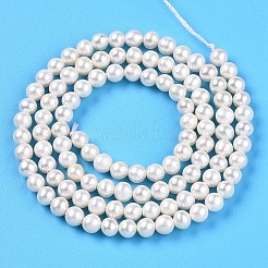 Natural Cultured Freshwater Pearl Beads Strands&nbsp;PEAR-N016-03D