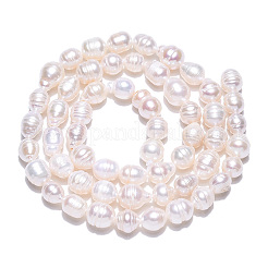 Natural Baroque Pearl Keshi Pearl Beads Strands&nbsp;X1-PEAR-S020-F04-01