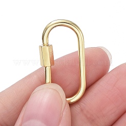 Brass Screw Carabiner Lock Charms&nbsp;ZIRC-E164-12G