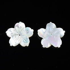 Natural White Shell Beads&nbsp;SSHEL-N027-131E-01