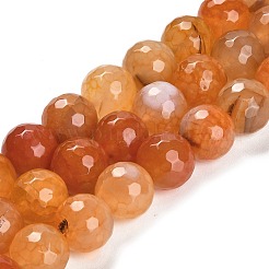 Natural Agate Beads Strands&nbsp;G-L595-A01-01B