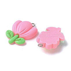 20Pcs 20 Styles Opaque Resin Pendants&nbsp;LS-RESI-V001-01