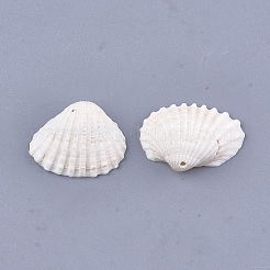 Clam Shell Pendants&nbsp;SSHEL-S258-60