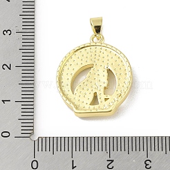 Brass Micro Pave Cubic Zirconia Pendants&nbsp;KK-E111-07G