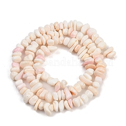 Natural Pink Shell Beads Strands&nbsp;SSHEL-L016-19