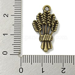 Tibetan Style Alloy Pendants&nbsp;TIBE-I026-6015AB
