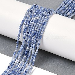 Natural Blue Spot Jasper Beads Strands&nbsp;G-A252-A02-01