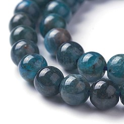 Natural Apatite Beads Strands&nbsp;G-F627-07-C