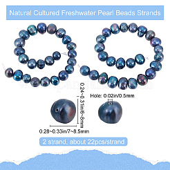 2 Strands Natural Cultured Freshwater Pearl Beads Strands&nbsp;PEAR-BBC0001-13