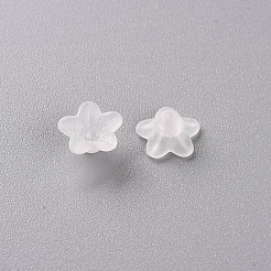 Transparent Acrylic Beads&nbsp;PL554