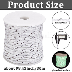 30M Luminous Glow in the Dark Polyester Cord&nbsp;AJEW-SP0004-86D