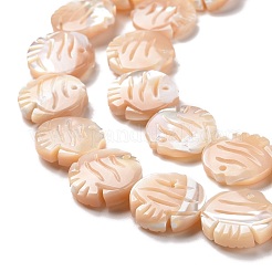 Natural Trochid Shell Beads Strands&nbsp;SSHEL-G023-16A