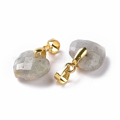 Natural Labradorite Pendants&nbsp;G-C023-07K