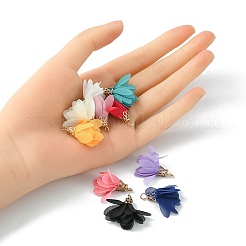 10Pcs 10 Colors Chiffon Pendants&nbsp;FIND-YW0003-09