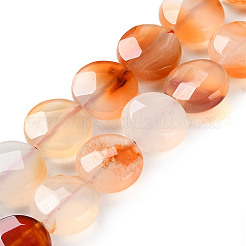 Natural Agate Beads Strands&nbsp;G-H024-A01-02