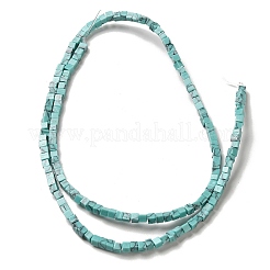 Synthetic Turquoise Beads Strands&nbsp;G-B064-A45
