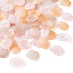 60Pcs Handmade Transparent Lampwork Pendants&nbsp;LAMP-TA0001-28