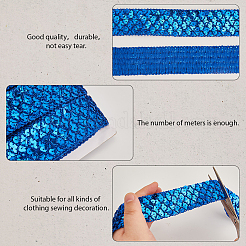 Polyester with PT Paillette Lace Trim Ribbon&nbsp;OCOR-WH20073-01E