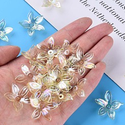 Transparent Acrylic Beads&nbsp;MACR-S373-102-C06