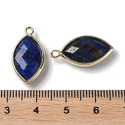 Natural Lapis Lazuli Pendants&nbsp;G-B009-01G-P