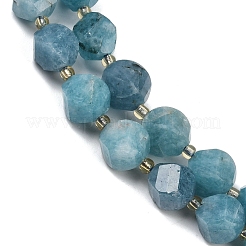 Dyed Natural Jade Beads Strands&nbsp;G-U023-A20-01F