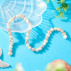1 Strand Natural Cultured Freshwater Pearl Beads Strands&nbsp;PEAR-TA0001-17