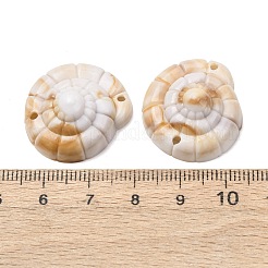 Opaque Acrylic Links Connector Charms&nbsp;SACR-K005-09