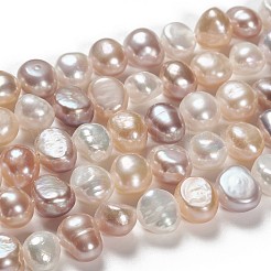 Natural Cultured Freshwater Pearl Beads Strands&nbsp;PEAR-T003-09