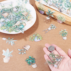 100Pcs Story of Four Seasons PET Stickers Self-Adhesive Stickers&nbsp;DIY-TA0003-69C