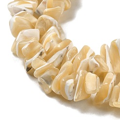 Natural Trochus Shell Beads Strands&nbsp;SHEL-K006-38