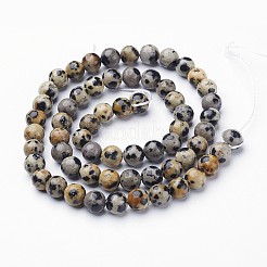 Natural Dalmatian Jasper Bead Strands&nbsp;G-R345-6mm-51