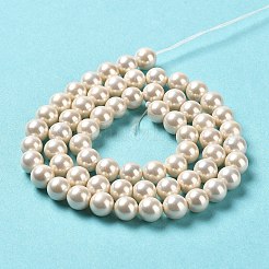 Shell Pearl Bead Strands&nbsp;BSHE-L025-08-6mm-01