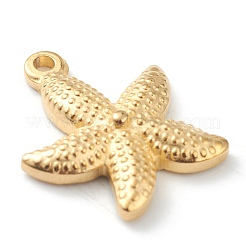 304 Stainless Steel Pendants&nbsp;STAS-G244-06G