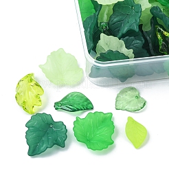 76G 8 Style Transparent Acrylic Pendants&nbsp;OACR-FS0001-15
