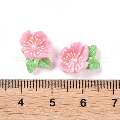 Opaque Resin Decoden Cabochons&nbsp;LS-CRES-O002-03C