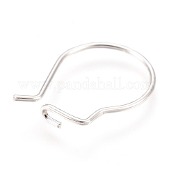 304 Stainless Steel Hoop Earrings Findings&nbsp;STAS-H436-02S