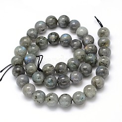 Natural Labradorite Round Bead Strands&nbsp;G-O087-04-8mm