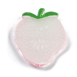 Luminous Resin Fruit Slice Display Decoration&nbsp;DJEW-B014-04