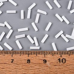 FGB Grade A Glass Round Bugle Beads&nbsp;SEED-Q040-06A-01