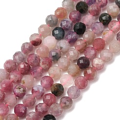 Natural Plum Blossom Tourmaline Beads Strands&nbsp;G-D110-A01-02