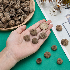 200Pcs Wood Acorn for Display Decorations&nbsp;AJEW-PH0008-19