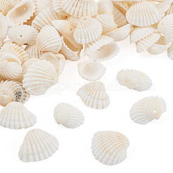 Shell Pendants&nbsp;SSHEL-TA0001-03