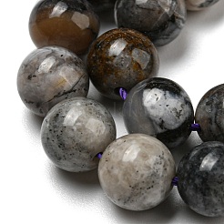 Natural Dendritic Jasper Beads Strands&nbsp;G-R494-A23-03