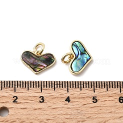 Epoxy Resin & Natural Paua Shell Heart Charms&nbsp;KK-K384-19B-G