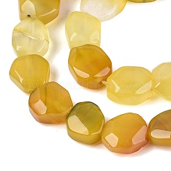 Dyed & Heated Natural Agate Beads Strands&nbsp;G-N359-15A-05