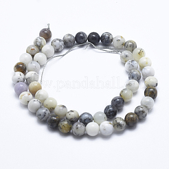 Natural White African Opal Beads Strands&nbsp;G-E472-02-8mm