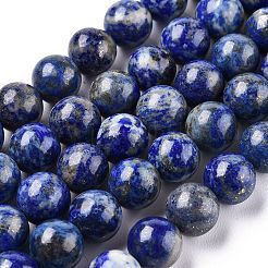 Natural Lapis Lazuli Beads Strands&nbsp;G-E483-17-10mm