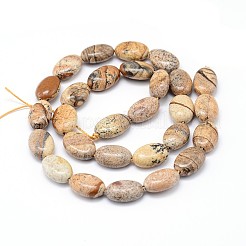 Natural Picture Jasper Flat Oval Bead Strands&nbsp;G-M206-24